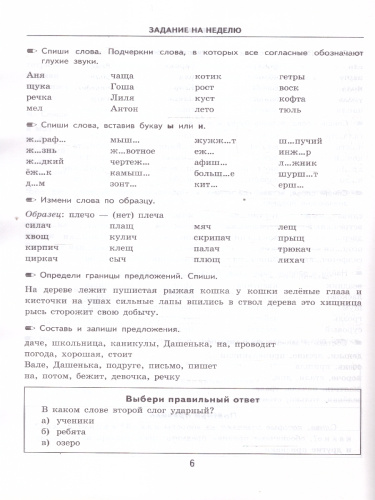 Тренировочные примеры по русскому языку 1 класс.
