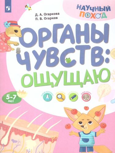 Тело человека. Органы чувств: ощущаю. Познавательное развитие. Окружающий мир