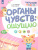 Тело человека. Органы чувств: ощущаю. Познавательное развитие. Окружающий мир Тело человека. Органы чувств: ощущаю. Познавательное развитие. Окружающий мир