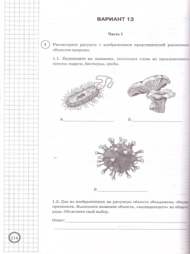 ВПР Биология 5 класс. Типовые задания. 25 вариантов. ФИОКО СТАТГРАД. ФГОС НОВЫЙ