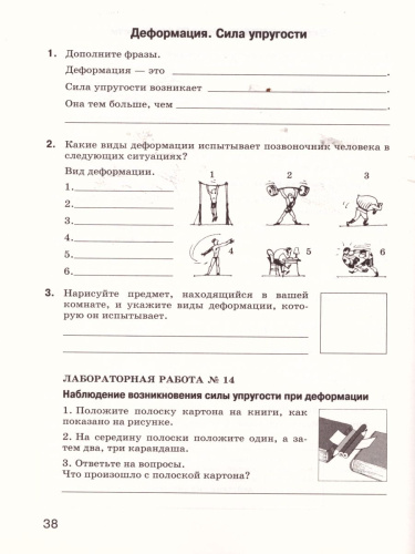 Естествознание 5 класс. Введение в естественно-научные предметы. Рабочая тетрадь. Вертикаль. ФГОС