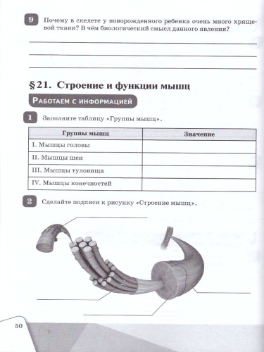 Биология 8 класс. Рабочая тетрадь