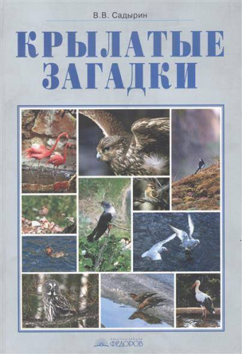 Крылатые загадки. Фотоальбом к курсу "Окружающий мир" 3-4 класс