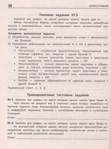 Орфография.комплексная подготовка к ЕГЭ, ОГЭ и ВПР / Стоп! Ошибка!