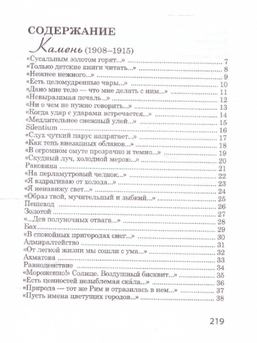 Я вернулся в мой город… Великая поэзия