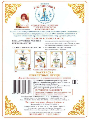 Раскраска "Перелетные птицы"