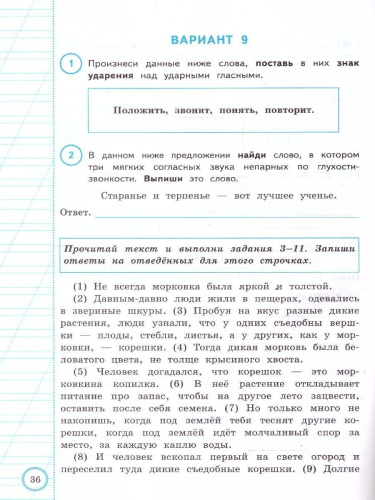 ВПР Русский язык 3 класс. Практикум. 10 вариантов. ФГОС Новый