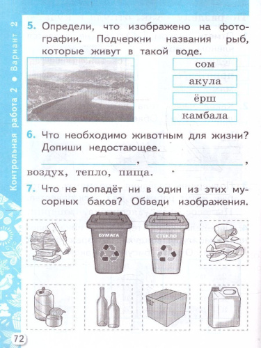 Окружающий мир 1 класс. Самостоятельные и контрольные работы. Часть1. К новому учебнику. УМК Плешакова