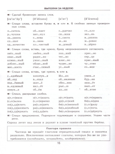 Русский язык 3 класс. Тренировочные примеры. Повторение и закрепление. ФГОС Новый