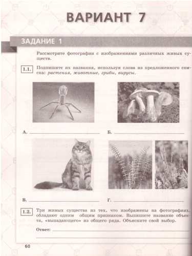 ВПР Биология 6 класс 10 вариантов