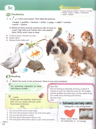 Английский язык 7 класс. Второй иностранный язык. Учебник