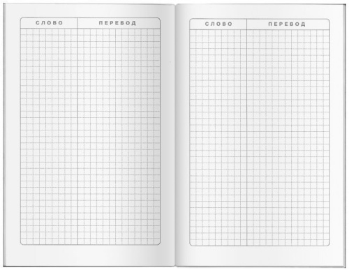 Тетрадь для записи иностранных слов "Кошка на крыше"