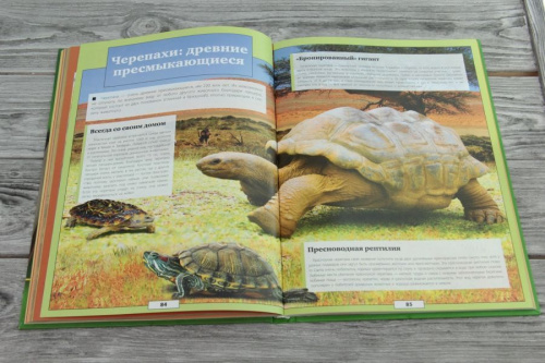 Животные нашей планеты /Энциклопедии с дополненной реальностью