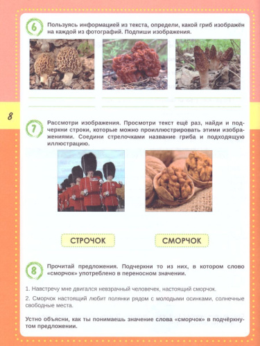 Смысловое чтение. Тренажёр для школьников 3 класс