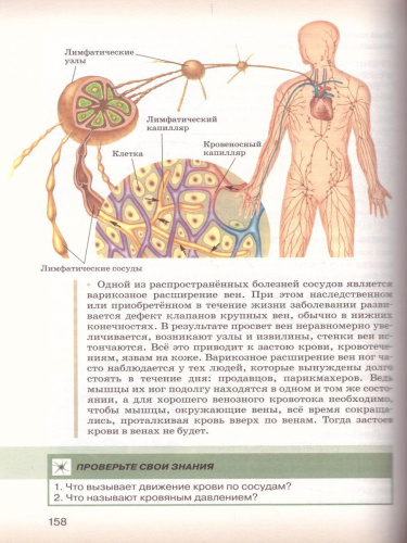 Биология 8 класс. Учебник. ФГОС