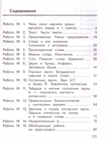 Русский язык 2 класс. Предварительный, текущий, итоговый контроль. Новый ФП. ФГОС