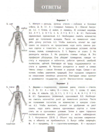 ВПР 2019 Окружающий мир 4 класс