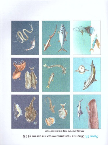 География 6 класс. Дневник географа-следопыта. Рабочая тетрадь. ФГОС