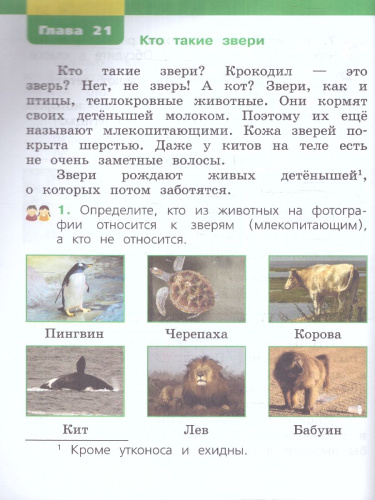 Окружающий мир 1 класс. Учебное пособие. В двух частях. Часть 2
