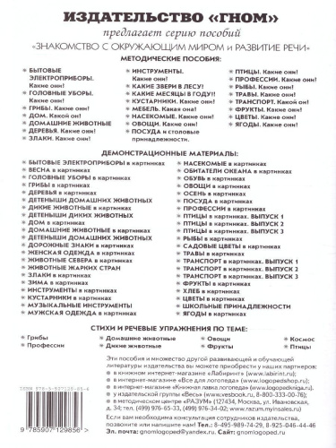 Инструменты. Какие они? Знакомство с окружающим миром, развитие речи