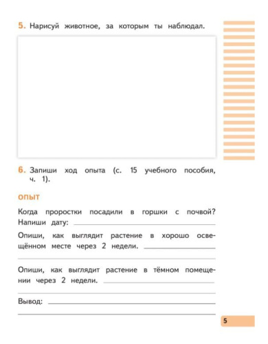 Окружающий мир 2 класс. Рабочая тетрадь. В 2-х частях. Часть 1 к новому учебному пособию