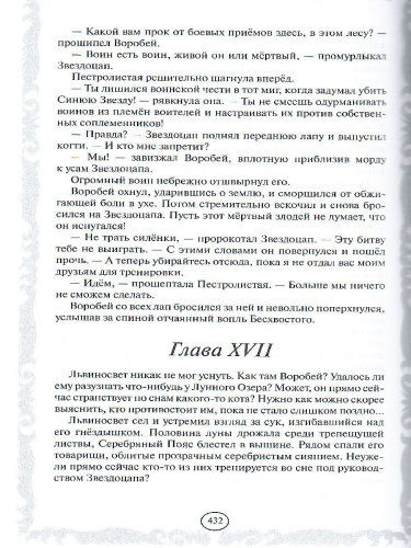 Четвертый оруженосец. Долгое эхо