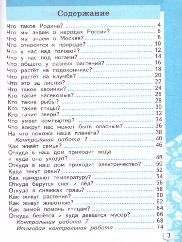 Окружающий мир 1 класс. Самостоятельные и контрольные работы. Часть1. К новому учебнику. УМК Плешакова