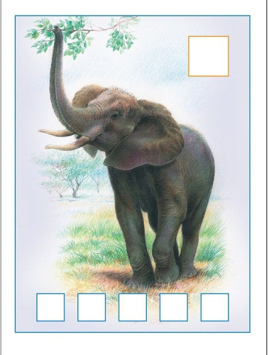 Школа Семи Гномов Четвертый год. Я считаю до пяти