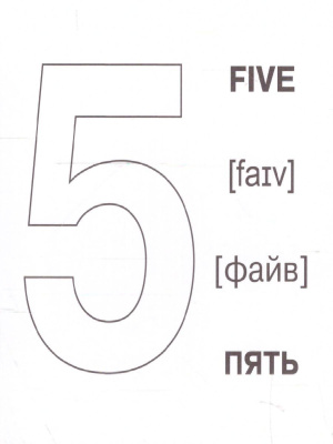 55636794-3