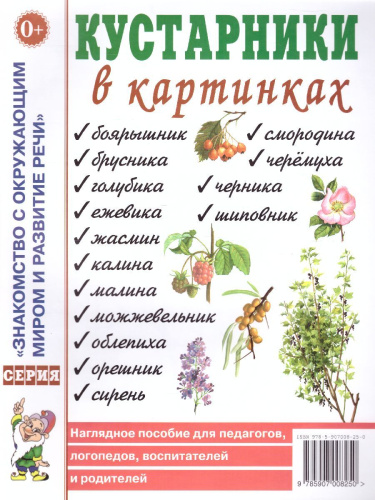 Кустарники в картинках. Наглядное пособие для педагогов, логопедов, воспитателей и родителей