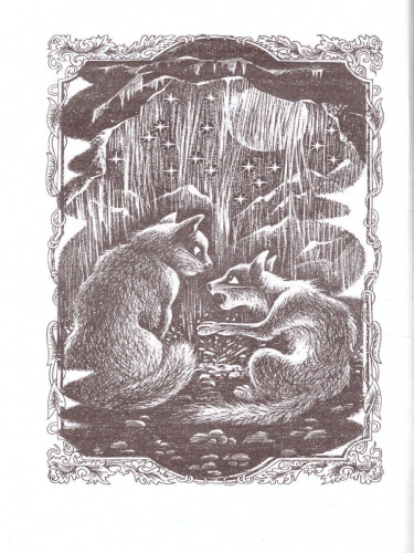 Коты-воители. Первая битва