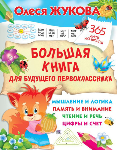 Большая книга для будущего первоклассника. 365 дней до школы