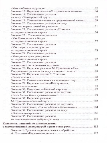 Развитие речи детей 6-7 лет Подготовительная к школе группа