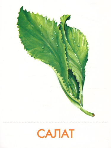 Дидактические карточки "Овощи"