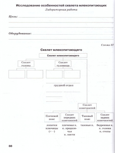 Биология 8 класс. Рабочая тетрадь. ФГОС
