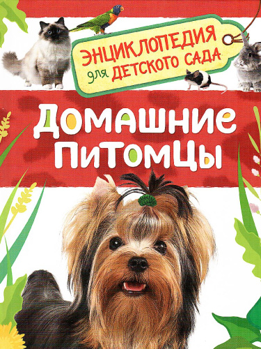 Домашние питомцы. Энциклопедия для детского сада