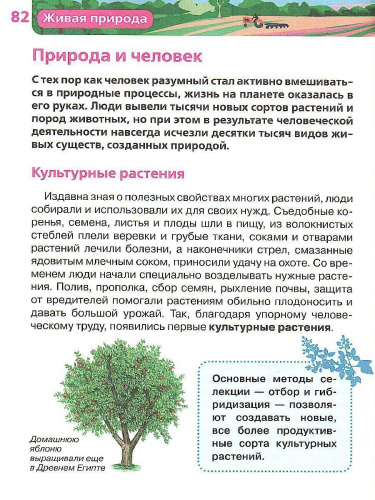 Живая природа