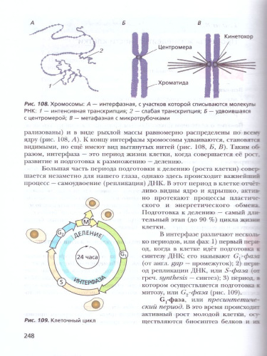 Биология 11 класс. Углубленный уровень. Учебное пособие
