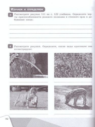 Биология. 9 класс. Рабочая тетрадь