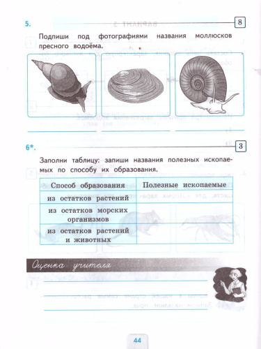 Окружающий мир 4 класс. Проверочные работы. ФГОС