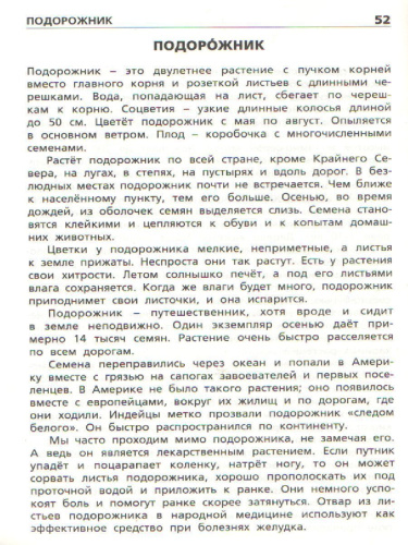 Растения России