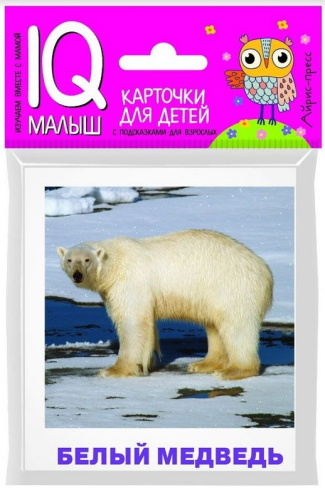 Умный малыш. Животные полярных широт. Набор карточек для детей