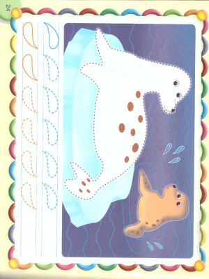 55620060-3