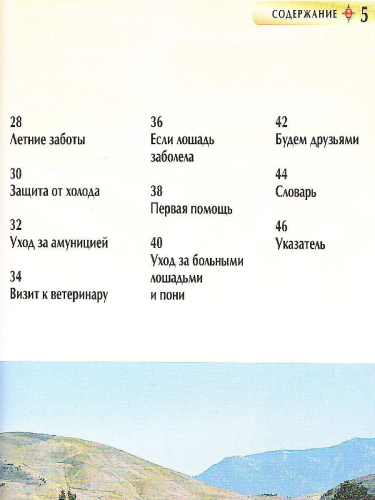 Лошади и пони