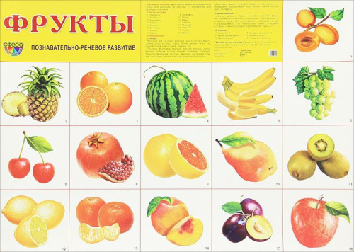 Демонстрационный плакат Фрукты /А2