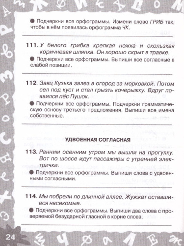 Русский язык 2 класс. Мини-задания на все правила и орфограммы