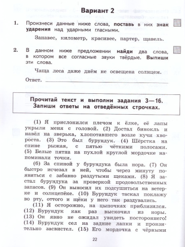 ВПР Русский язык 4 класс. Разноуровневые проверочные работы. Тренажер