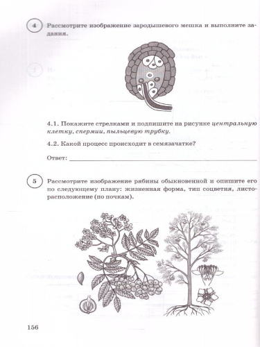 ВПР Биология 6 класс. Типовые задания. 15 вариантов. ФИОКО СТАТГРАД. ФГОС НОВЫЙ