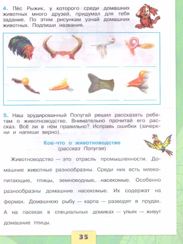 Окружающий мир 3 класс. Рабочая тетрадь в 2-х частях. Часть 2. УМК "Школа России" (ФП2022)