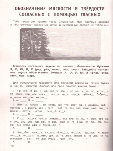 Русский язык 1 класс. Тренировочные задания. ФГОС НОО